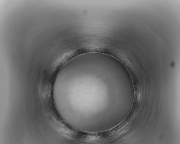 X0000089370458200706221225