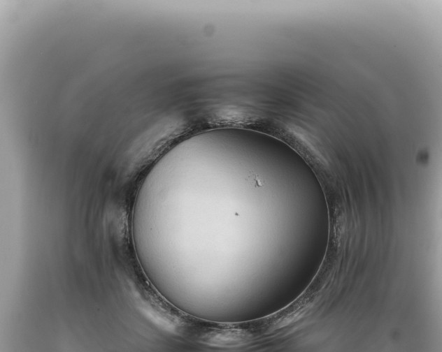X0000089370459200706221225