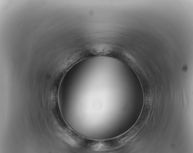 X0000089370460200706221225