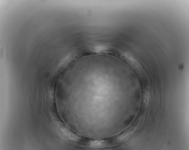 X0000089370461200706221225