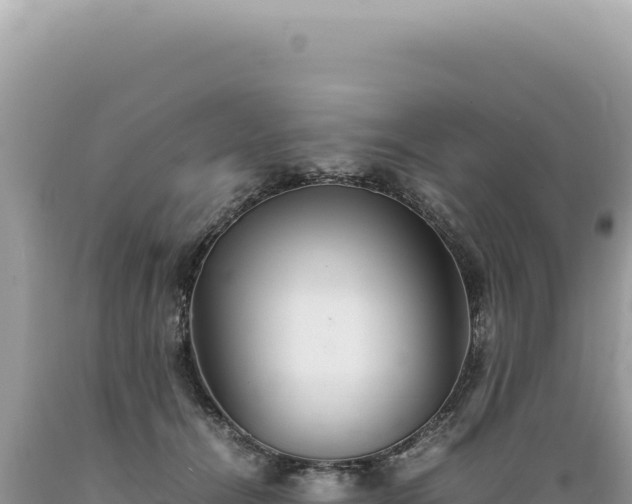 X0000089370464200706221225
