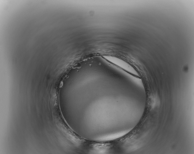 X0000089370465200706221225