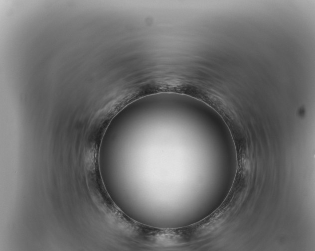 X0000089370468200706221225