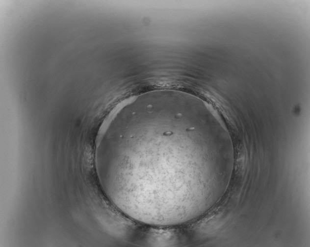 X0000089370469200706221225