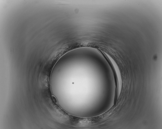 X0000089370470200706221225