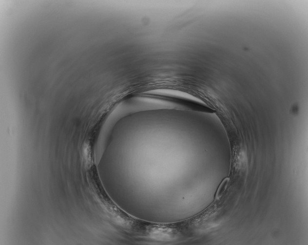 X0000089370471200706221225