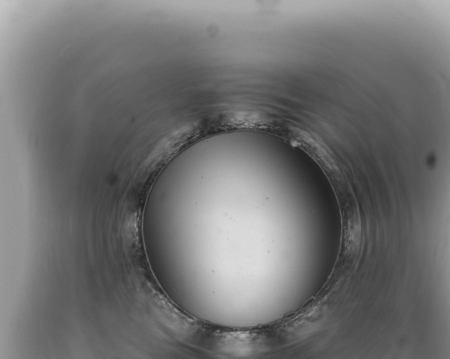 X0000089370473200706221225