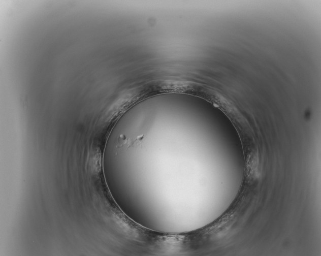 X0000089370474200706221225