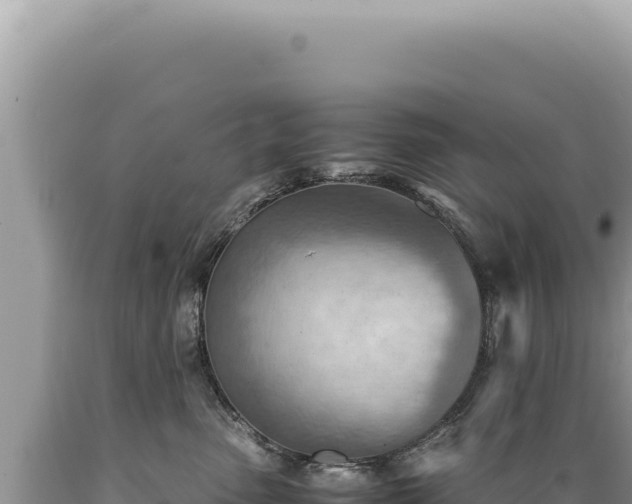 X0000089370475200706221225