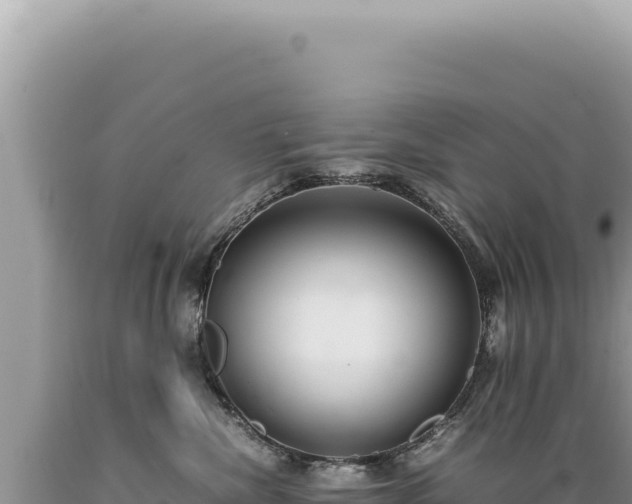 X0000089370476200706221225