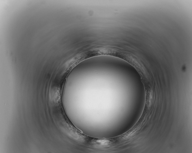 X0000089370478200706221225
