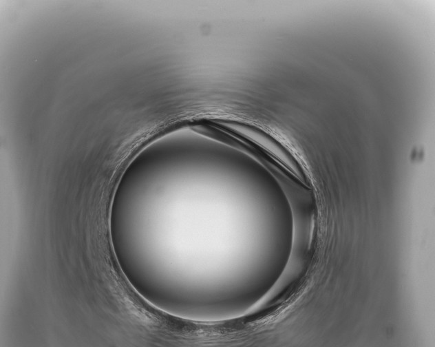 X0000089370481200706221224