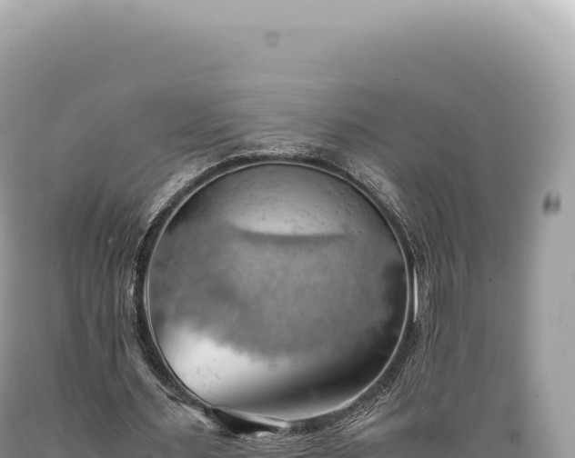 X0000089370483200706221224