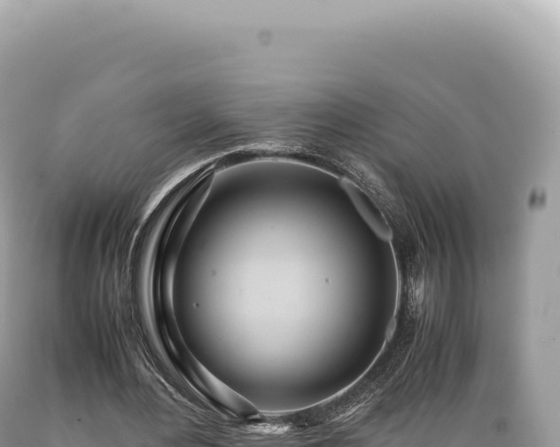 X0000089370484200706221224