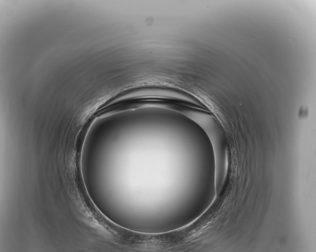 X0000089370485200706221224