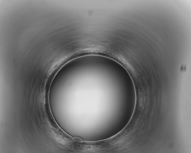 X0000089370486200706221224