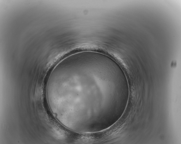 X0000089370487200706221224