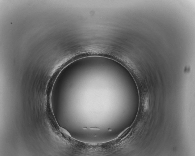 X0000089370488200706221224