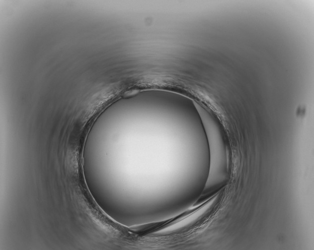 X0000089370489200706221224