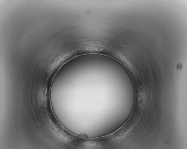 X0000089370490200706221224