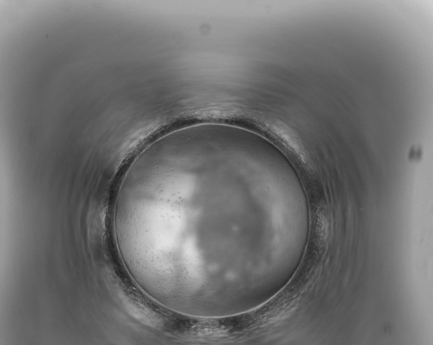 X0000089370491200706221224