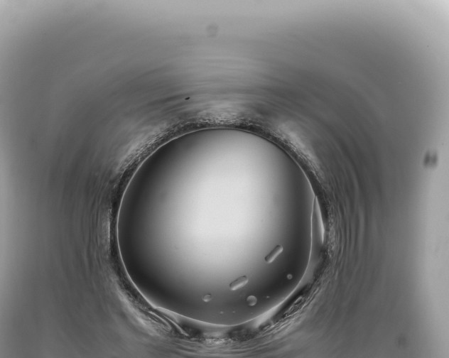 X0000089370493200706221224
