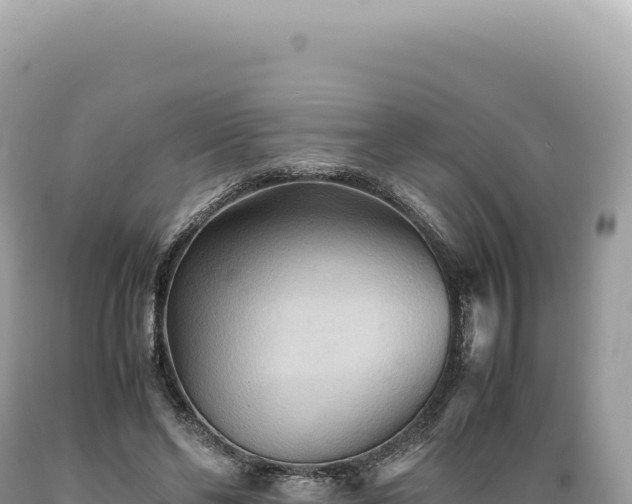 X0000089370494200706221224