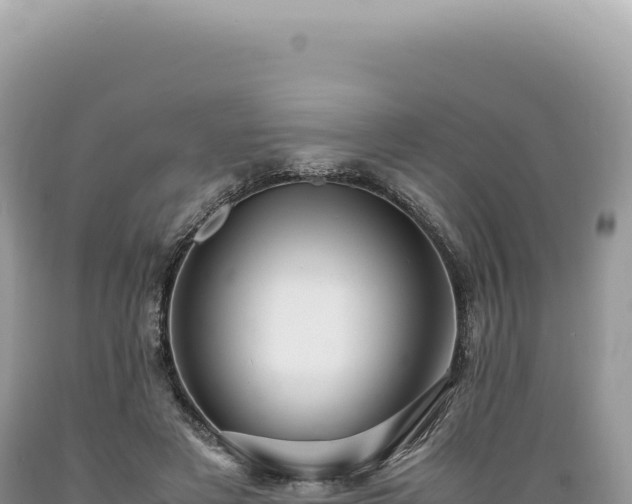 X0000089370497200706221224
