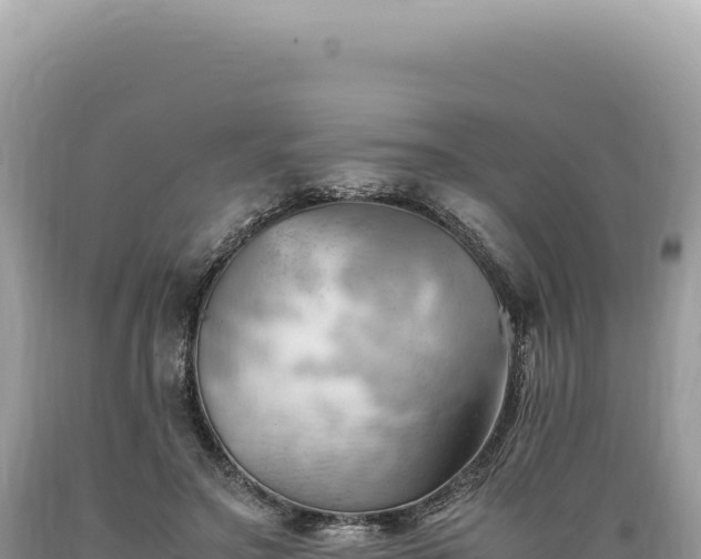 X0000089370499200706221224