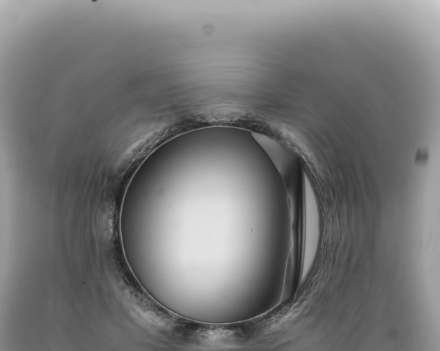 X0000089370501200706221224