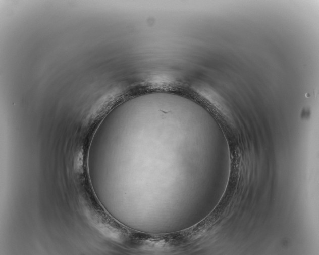 X0000089370502200706221224