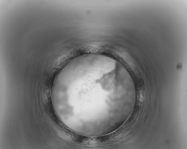 X0000089370503200706221224