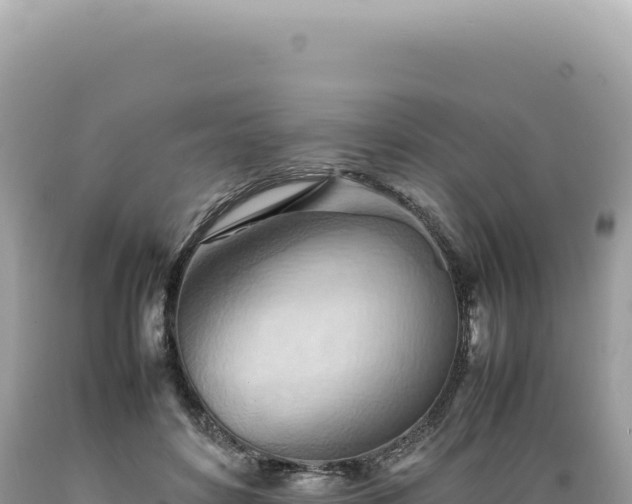 X0000089370504200706221224