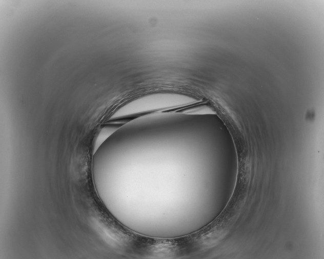 X0000089370505200706221224