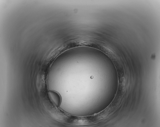 X0000089370506200706221224