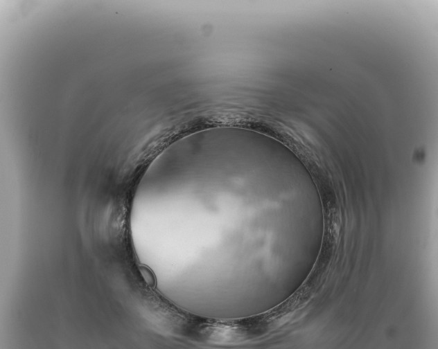 X0000089370507200706221224