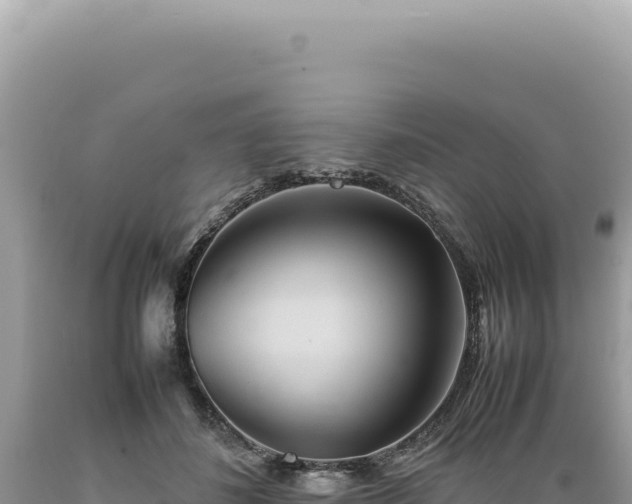 X0000089370508200706221224