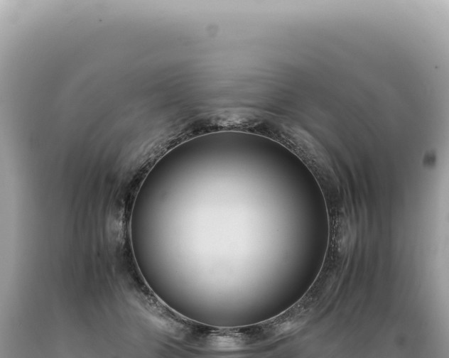 X0000089370510200706221224