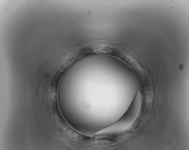 X0000089370513200706221224