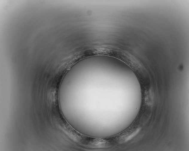 X0000089370514200706221224