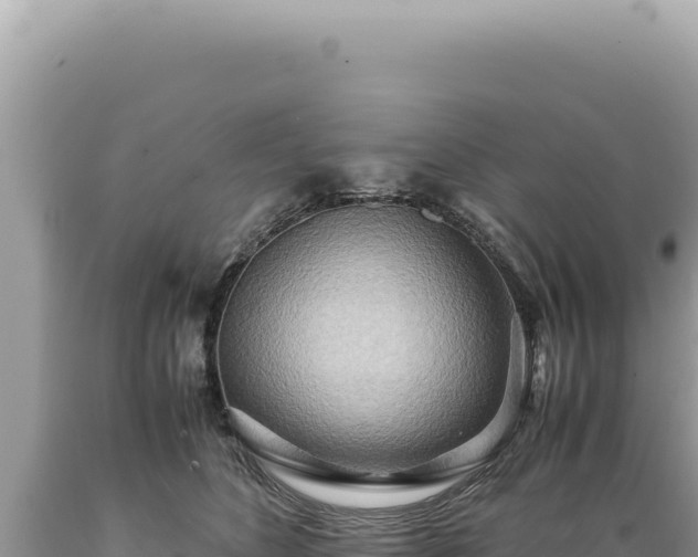 X0000089370516200706221224