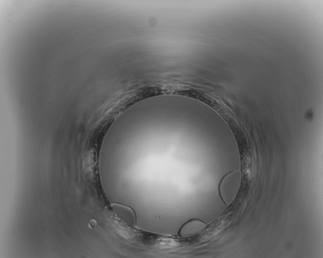 X0000089370519200706221224