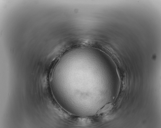 X0000089370520200706221224