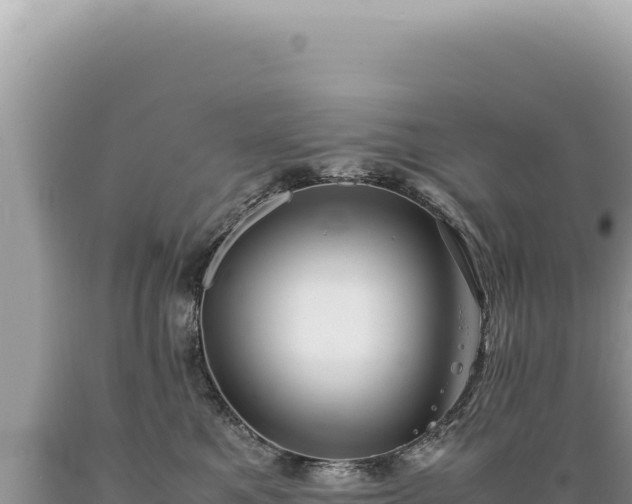 X0000089370521200706221224