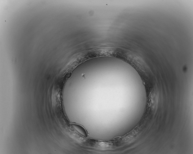 X0000089370522200706221224