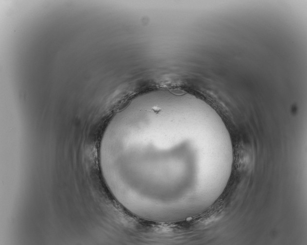 X0000089370523200706221224