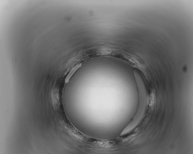 X0000089370524200706221224