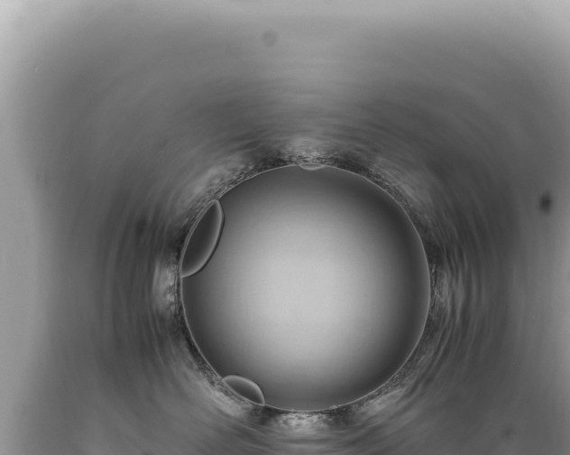 X0000089370526200706221224