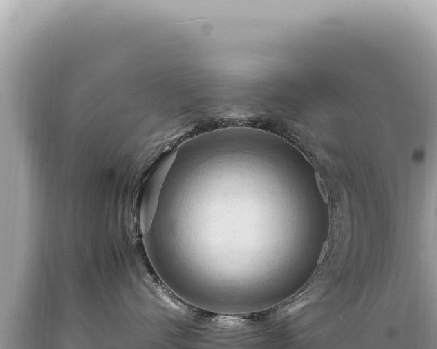 X0000089370528200706221224