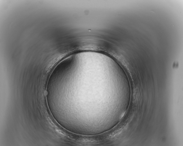 X0000089370529200706221223
